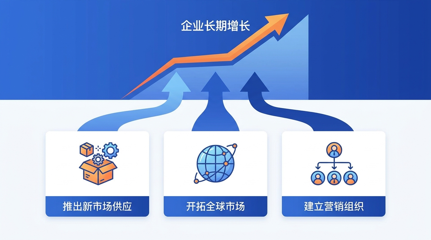 企业长期增长三大方向图解